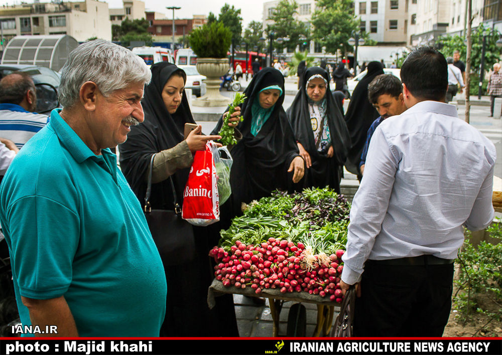 نوبرانه‌های رنگی