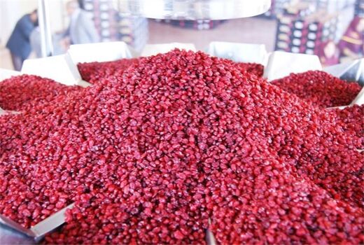 عرضه مستقیم زرشک در میادین میوه و تره بار تهران 