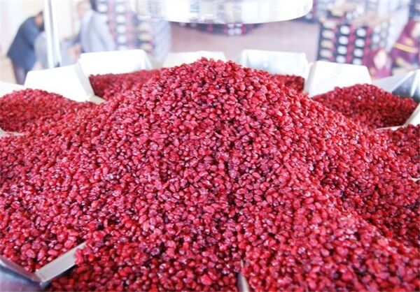 عرضه مستقیم زرشک در میادین میوه و تره بار تهران 