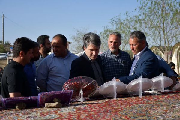 زغالاخته؛ محصول استراتژیک ارسباران با ارزش افزوده سهبرابری نسبت به محصول خام