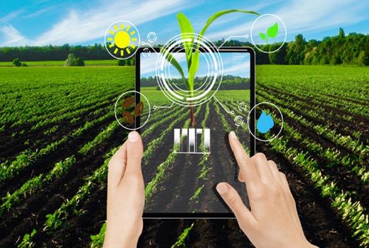 پلتفرم‌های مهندسی راه ارتقای بهره‌وری و پایداری کشاورزی است / بهبود 26 درصدی عملکرد آبیاری