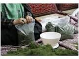 صدور 14 پروانه تاسیس مشاغل خانگی در جویبار