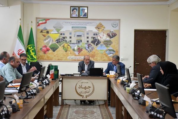 لزوم فرهنگسازی برای استفاده از بذرهای اصلاحشده