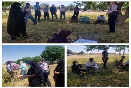 برنامه آموزشی مدرسه در مزرعه در سایت قوشچی قزوین برگزار شد