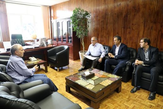 عرصه‌های منابع طبیعی زنجان، مستعد توسعه  پروژه‌های آبخیزداری