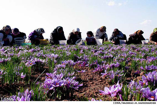 تکمیل اراده آهنین بانوان خراسان جنوبی با کسب مقام برتر در کشور