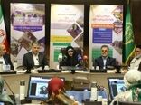 حمایت تسهیلاتی دولت سیزدهم از زنان کارآفرین روستایی و عشایری
