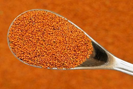 خاکشیر به جمع گیاهان دارویی فیروزآباد پیوست