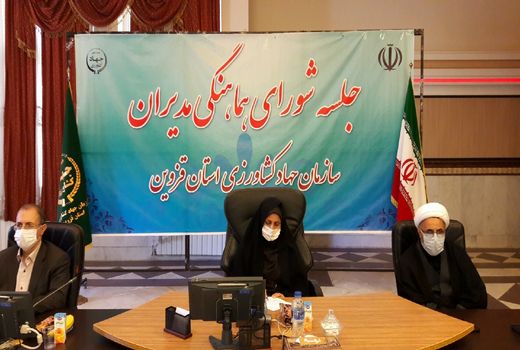 209 هزار تن گندم بصورت تضمینی از کشاورزان استان خریداری شد