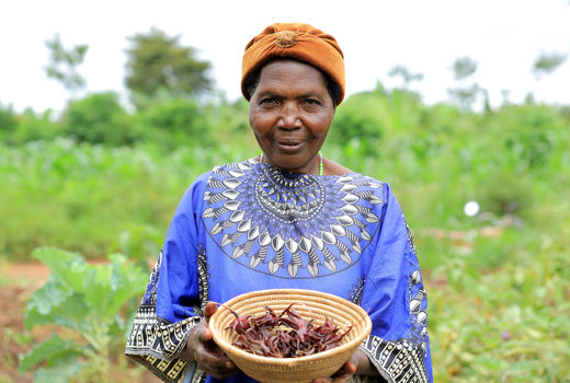 تنوع زیستی در مزارع اوگاندا