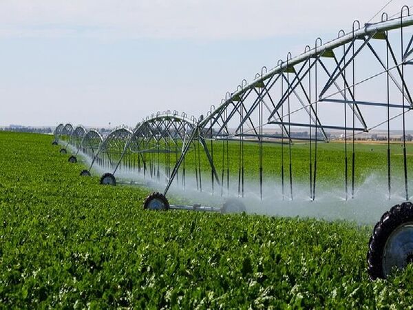 نیمی از اراضی کشاورزی اصفهان مجهز به سیستم‌های مدرن آبیاری است