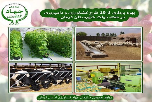 19 طرح کشاورزی و دامپروری شهرستان کرمان در هفته دولت به بهره برداری می رسد
