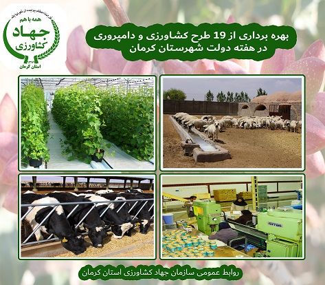 19 طرح کشاورزی و دامپروری شهرستان کرمان در هفته دولت به بهره برداری می رسد