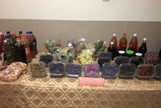 پرداخت یک میلیارد و ۹۵۰ میلیون ریال تسهیلات به مشاغل خانگی بخش کشاورزی شهرستان البرز 