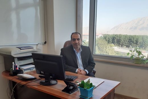 امحای 180 کیلوگرم گردوی خارجی قاچاق