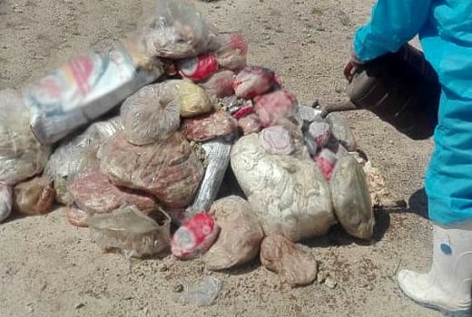 فرآورده‌های دامی فاسد در شهرستان شاهرود کشف شد