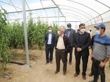 هرمزگان نقش مهمی در خودکفایی محصولات کشاورزی دارد