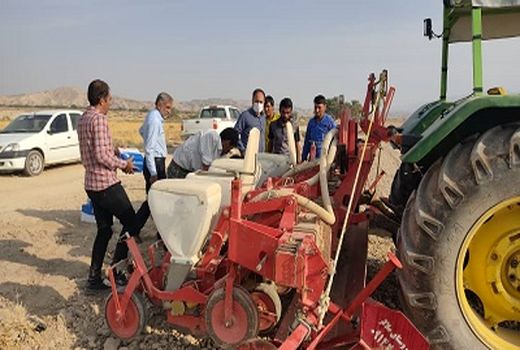 کشت چغندر قند در خنج در حال انجام است