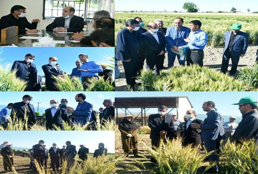بازدید استاندار گلستان به اتفاق رییس سازمان جهادکشاورزی استان از ایستگاه تحقیقات کشاورزی عراقی محله گرگان