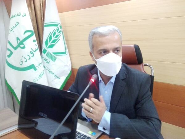176 تشکل عضو صندوق حمایت از توسعه کشاورزی آذربایجان غربی هستند