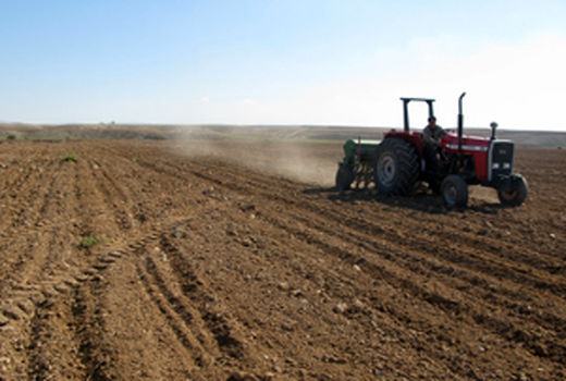 برگزاری کارگاه آموزشی سرویس و نگهداری تراکتور در شهرستان دشتستان