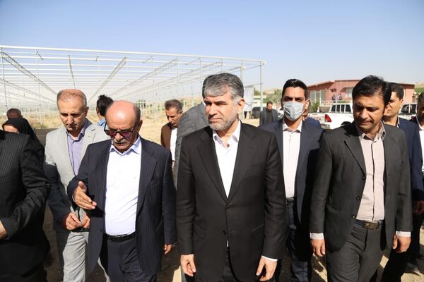 بازدید وزیر جهاد کشاورزی از گلخانه هیدروپونیک کشور در شهرستان دیواندره
