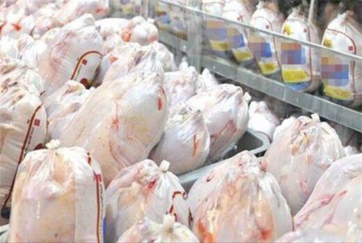 ظرفیت تولید  ۲۹ هزار تن گوشت مرغ در چهارمحال و بختیاری