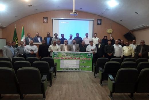 آشنایی کارشناسان با طرح ملی تولید نهال و کاشت یک میلیارد درخت در خوزستان