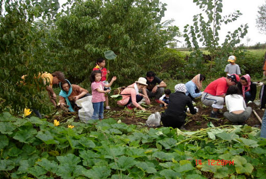اگروتوریسم راه مناسب برای خروج از رکود اقتصاد در بخش کشاورزی