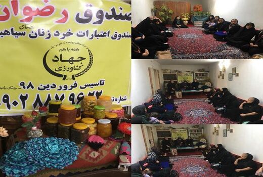زنان عضو صندوق اعتبارات خرد زنان روستای سیاهبند استعدادیابی شدند