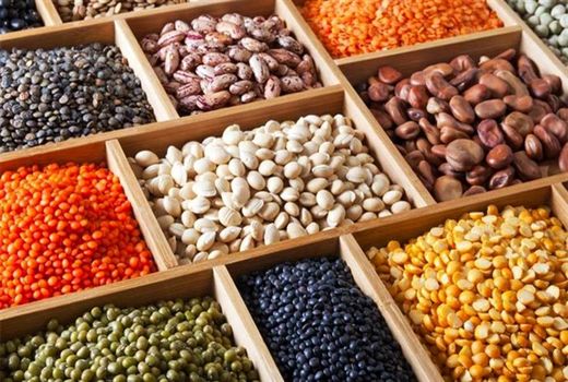 رونق مزرعه در بهار 1404/ از افزایش بهای غلات تا جهش دستمزد کارگران