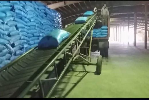 توزیع ۹۲۵ تن کود اوره در شهرستان کوهرنگ