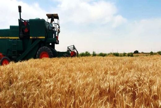 اجرای ۳۰ طرح کشاورزی اصفهان در سفر رییس جمهور به این استان ارائه می‌‎شود