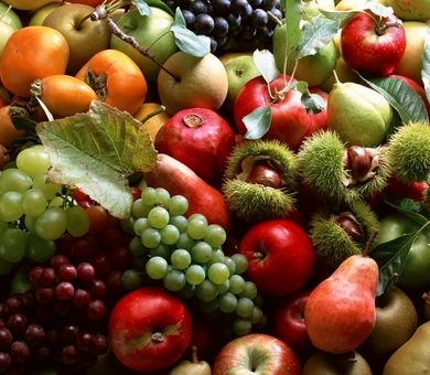 27 میلیون تن محصولات باغی تولید می‌شود/ ۵۶ درصد باغات بارور کشور در اختیار ۵ محصول راهبردی است