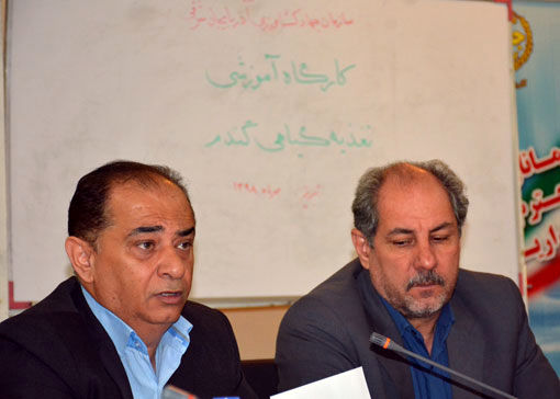 مصرف به موقع کود، حداقل 30 درصد تاثیر مثبت در تولید محصولات دارد