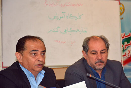 مصرف به موقع کود، حداقل 30 درصد تاثیر مثبت در تولید محصولات دارد