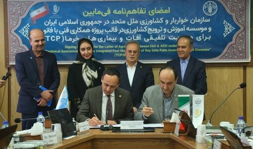 تفاهم‌نامه همکاری برای مدیریت تلفیقی آفات و بیماری‌های خرما امضا شد
