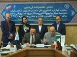 تفاهم‌نامه همکاری برای مدیریت تلفیقی آفات و بیماری‌های خرما امضا شد