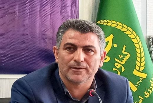 وزارت جهاد کشاورزی به دنبال حصول اقتدار غذایی است