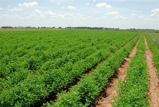 همایش فرصت‌های سرمایه‌گذاری در بخش کشاورزی آذربایجان غربی برگزار می شود