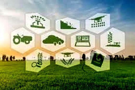 پایداری تولید با کشاورزی پژوهشگرانه و دانش بنیان