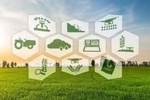 پایداری تولید با کشاورزی پژوهشگرانه و دانش بنیان