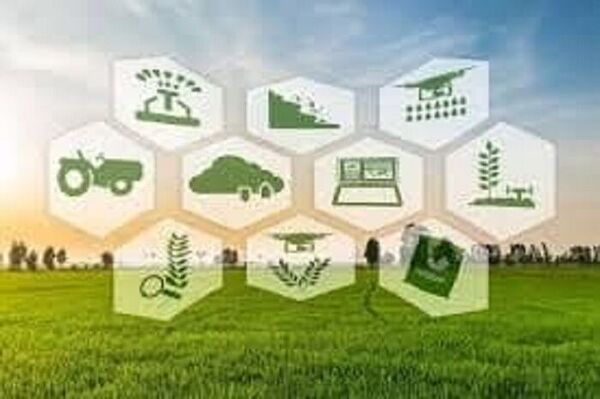 پایداری تولید با کشاورزی پژوهشگرانه و دانش بنیان