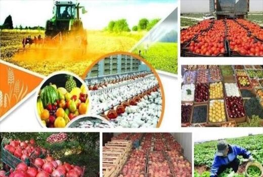 افزایش 30 درصدی تولید محصولات کشاورزی در شهرستان کیار