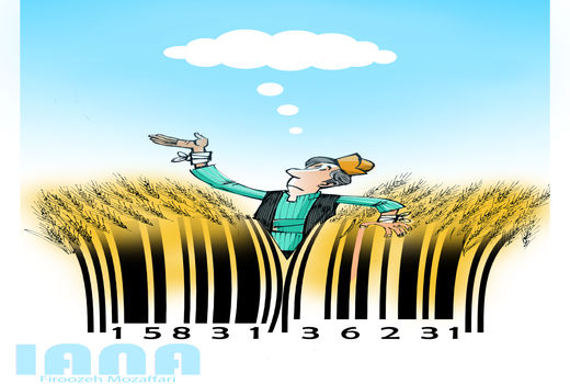 نان در گرو اب-کارتون فیروزه مظفری