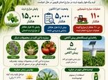 پایش ۱۵ هزار هکتار از مزارع ذرت  در استان قزوین