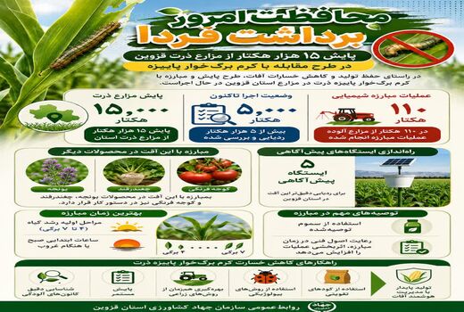 پایش ۱۵ هزار هکتار از مزارع ذرت  در استان قزوین