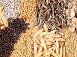 قیمت انواع بذر برای سال زراعی پیش رو در استان آذربایجان شرقی اعلام شد