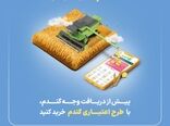 "گندم اعتبار دارد" گرین‌پی ویژه گندم‌کاران