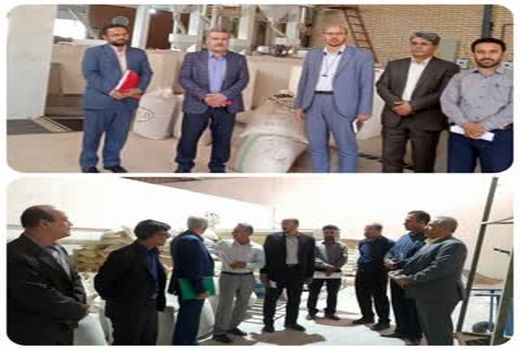 بازدید از واحدها تولیدی بهره مند از تسهیلات اشتغال پایدار روستایی در استان قزوین